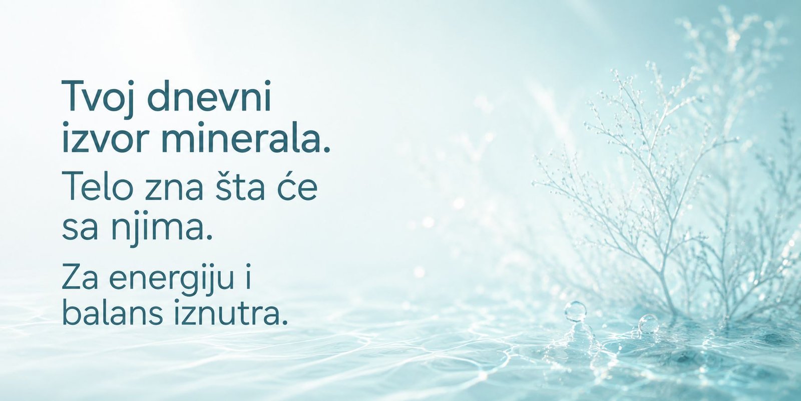 Sastojci u Mellia Sea Moss formuli